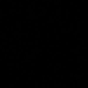 Meet your Posher, Corrine